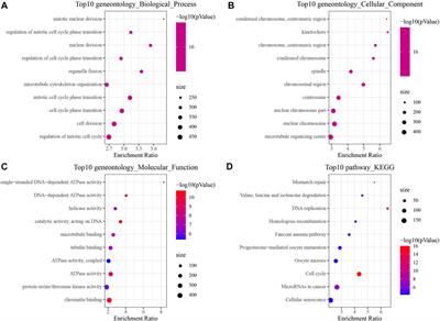 Construction of HBV gene-related prognostic and diagnostic models for hepatocellular carcinoma